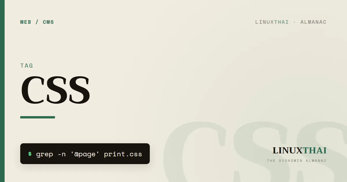CSS