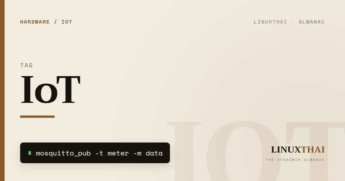 IoT